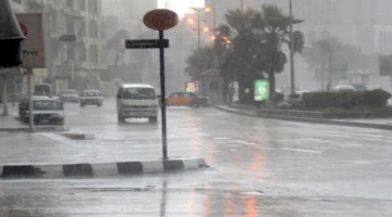 تنبيه اليوم شبورة كثيفة تخفض رؤية السائقين في عدة مناطق